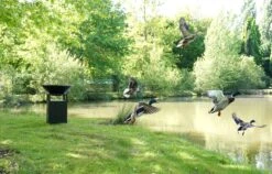 Brasero Plancha Haut NOIR - Diamètre 1m -Supra Soldes 2 4